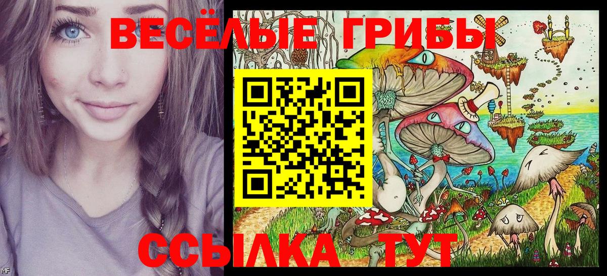 Каменск-Уральский  Псилоцибиновые грибы MAGIC MUSHROOMS  Вход с VPN  Галлюциногенные грибы Magic Shrooms 